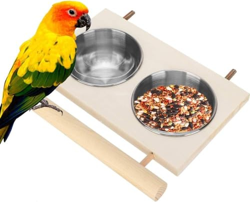 DEWIN Bird Feeding Bowl for Cage，Stainless Steel Parrot Feeding Bowl Parrot Water Feeder with Stand for Pet Birds Parakeet Conure Cockatiels Finches Silver 6.3x7.9in (Double Bowl)