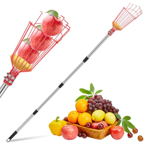 Pafeooui 13 FT Adjustable Fruit Picker Pole with Basket – Lightweight Stainless Steel Picking Tool for Apples, Mangoes, Avocados, Oranges & More