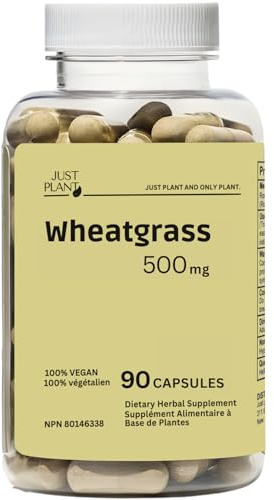 Organic Wheat Grass Capsules 500 mg, 90 Count | Detox, Energy, Digestion & Immune Support | Chlorophyll-Rich Green Superfood Supplements, Vegan, Gluten-Free Made in USA