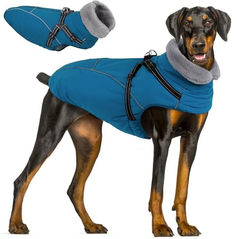 Queenmore Manteau Chien Imperméable, Manteaux d'hiver pour Chiens, 2XL | Vêtement Chaud Berger Allemand/Labrador/Husky/Golden Retriever Pour Les Activités En Plein Air Et La Montagne / Ski