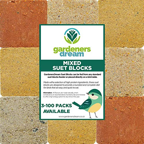GardenersDream Suet Fat Blocks | Premium Garden Wild Bird Food | Enhanced Formula | Naturally Blended, High in Energy & Protein-Rich Feed | Full of Nutritious Fibre & Moisture (Worm & Insect, 5)