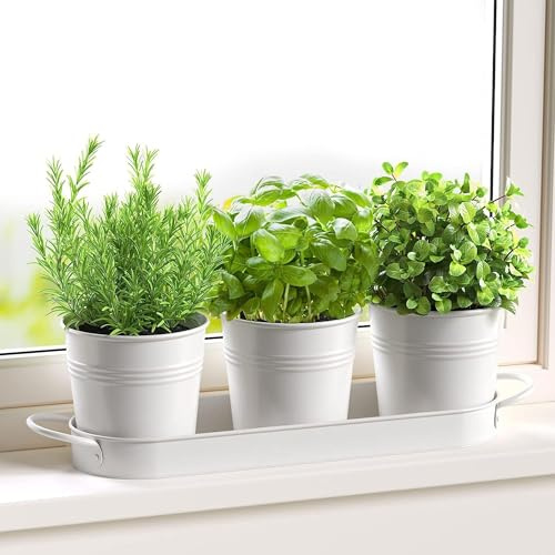 FGXY Set di 3 vasi in metallo con vassoio per erbe aromatiche, Mini Cactus Succulento Vaso, Crepa di Ghiaccio Fiori Piantatore,Per interni, Davanzali e Balconi,Coltiva Le Tue Erbe Per La Cucina-Bianco