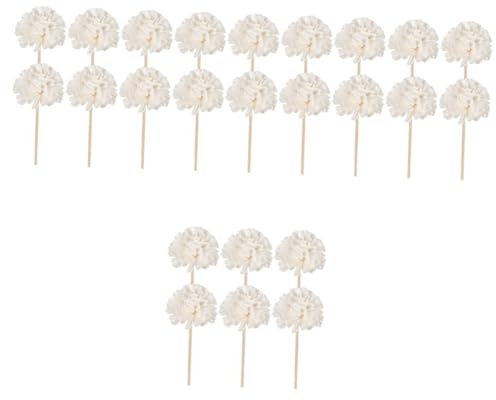 Ciieeo 4 Sätze Aromatherapie-Rattan Rattanstöcke Duftend Klein Blume Rattan Diffusor Sticks Diffusionsstäbe Duftstäbchen Für Ätherische Öle Diffuse Stäbchen Drinnen Duftstift 6 Stück * 4