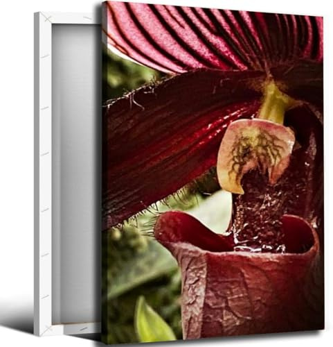 Tropical Pitcher Plant Bathroom Canvas Wall Art Decor Framed Photo Prints Picture for Bedroom Living Room Office Kitchen Posters Painting Artwork