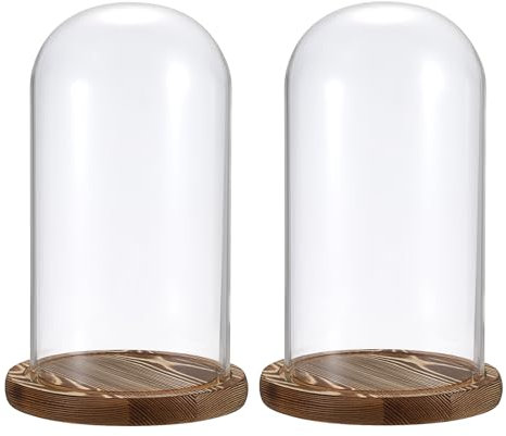 TOLIDA Lot de 2 dômes en verre avec socle en bois naturel - Cloche décorative robuste - Pour lampes, bougies, roses, décorations antiquités pour Noël, anniversaires, Saint-Valentin