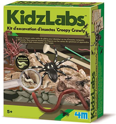 4M KidzLabs Kit Excavation Insectes Enfant – Insectes à déterrer dans Bloc de plâtre – Jeu Scientifique dès 5 Ans