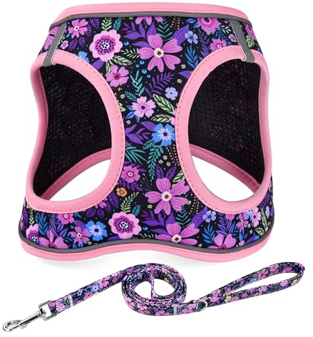 Mihqy Step in Dog Harness and Leash Set, Reflective Adjustable No Pull Dog Harness for Extra-Small/Small Dogs Puppy and Cats, Soft Padded Mesh Vest Harnesses for Girl and Boy Pets(Pink Floral,S)
