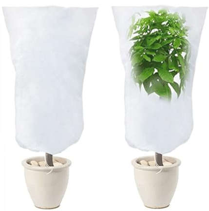 LINSOCLE Lot de 2 Housse Hivernage pour Plantes, Voile Hivernage Plante Exterieur, Voile D'hivernage, Bache Hivernage Protection Plante Hiver pour Olivier Palmier Citronnier Arbre 120cm X 80cm