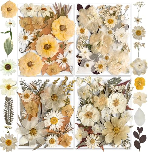 YouthBro 147PCS Vintage White Dried Pressed Flowers for Resin Craft Real Nature Flowers Set with Butterfly Stickers for DIY Jewelry Nai Floral Decors
