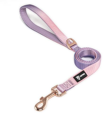 TSPRO Leichtgewicht Hundeleine mit Gepolstertem Griff und Metallverschluss, Farbverlauf Laufleine für Hunde für Kleine bis Mittelgroße Hunde Gehen Laufen (Rosa-Violett)