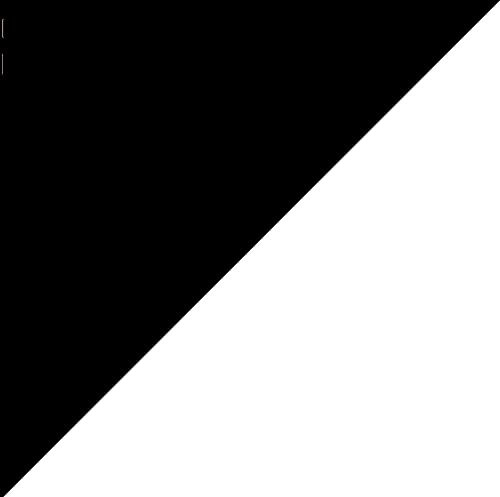 Gladiolus communis ssp byzantinus - Wildgladiole 5 Blumenzwiebeln