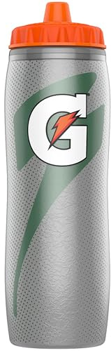 Gatorade Insulated Squeeze Bottle, 30oz, Silver, BPA Free, Double-Wall Insulation