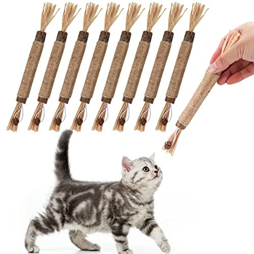 Bbtcxjs 8 Stück Katzenminze Sticks, Matatabi Kaustäbchen, Kausticks für Katzen, Katzen Zahnpflege Spielzeug, Katzenminze Spielzeugstäbchen für Katzen im Innenbereich, Kätzchen, Zahnreinigung