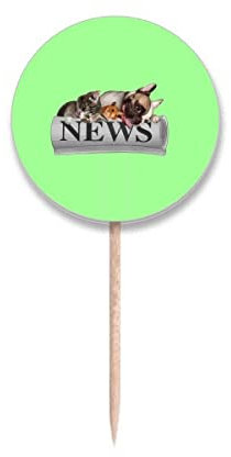 Rollo de periódico para mascotas, diseño de palillo de dientes de moda, etiquetas redondas para decoración de fiestas