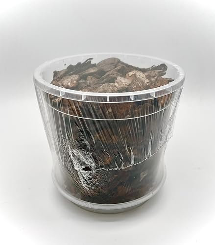 Blooming Weather Orchid Bark Repotting Kit, Pine Bark Mix with Pot and Saucer, Multiple (19 cm Pot)