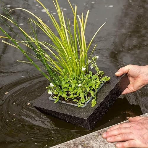 Plant Theory 1 x Island Floating Island for Shallow Water Plants Pond Plants