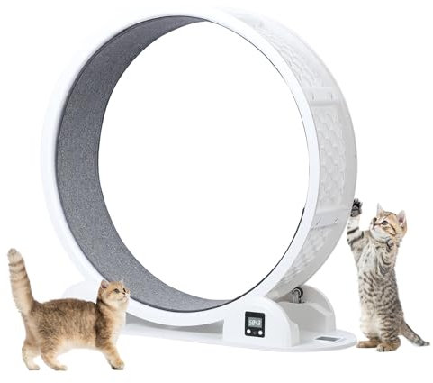 Utaxuper Katzenlaufrad 110 cm Solarstrom mit Zähler Laufrad Katzen Katzenrad Cat Wheel für Kleine Katzen Große Katzen Drinnen Weiß