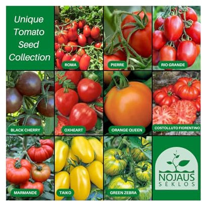 Nojus Lot de graines de tomates - 10 variétés - Kit de démarrage de graines de tomates diverses - 10 paquets - Graines de jardin Plantes - Graines Boîte de légumes - Graines