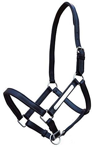 German Riding gepolstertes Lederhalfter mit Metallplatte Links für Namensgravur (Full gleich WB)