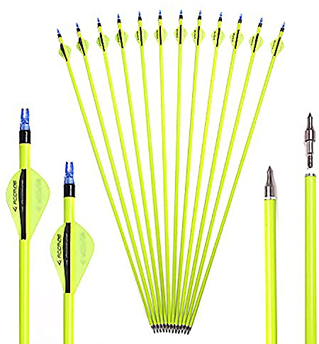 ACCMOS 30 Pulgadas Tiro con Arco Flecha Spine 500 ID 6.2 mm Flecha de Carbono, para Adultos Jóvenes Arco y Flecha Caza y Práctica de Tiroteo 12 pzs (30 Inch)