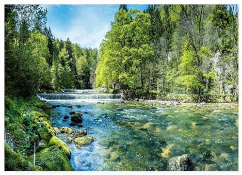 WallArena - Carta da parati fotografica - Paesaggio 300x210 cm - Murale fotografico - Per soggiorno e camera da letto - Effetto 3D - con Colla - Foresta, lago, natura