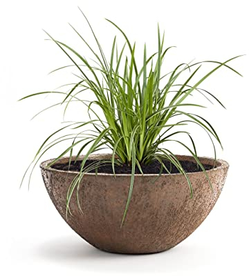 Pflanzwerk® Pflanzkübel Pflanzschale Bowl Ø 28cm Rost *Frostbeständige Blumenschale* *Premiumqualität* *Lotus-Effekt Imprägnierung*