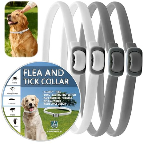 4 Collari Antipulci per Cani, Collari Antipulci Naturali, Protezione Di 8 Mesi, Collare Antizecche Regolabile E Impermeabile Da 65 Cm per Cani Di Piccola, Media E Grande Taglia