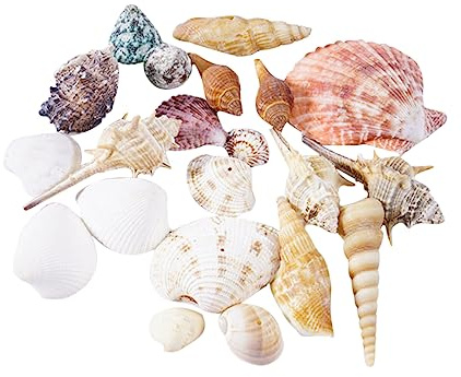 POPETPOP Naturel Unique pour Décorations Intérieur Aménagement Paysager Et Aquarium Grand Format