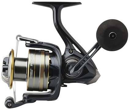 Mitchell MX2SW, Moulinet de pêche, Mer - Pêche côtière/de près, Le Moulinet de pêche en mer idéal pour Une Large Gamme d'applications, Design résistant à la Corrosion, Unisexe, Argent et Or, 6000