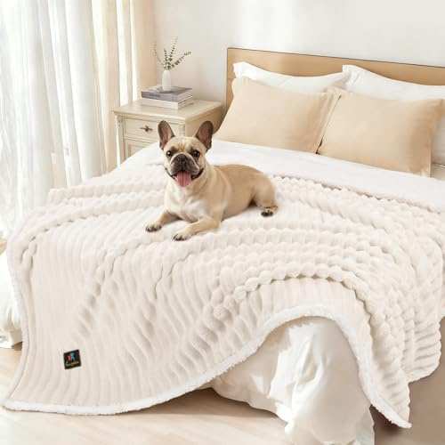 Luciphia vattentät hundfilt Tvättbar, kattfilt för katt hund valp, smygfilt mjuk fluffig Sherpa fleece, husdjursfilt för skydd av säng soffa, Beige Vit 145 * 165 cm