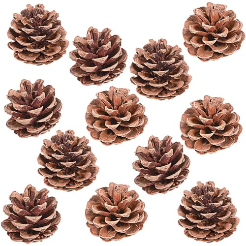 Natural Pine Cones 12Pc - Crafts for Kids and Fun Home Activities