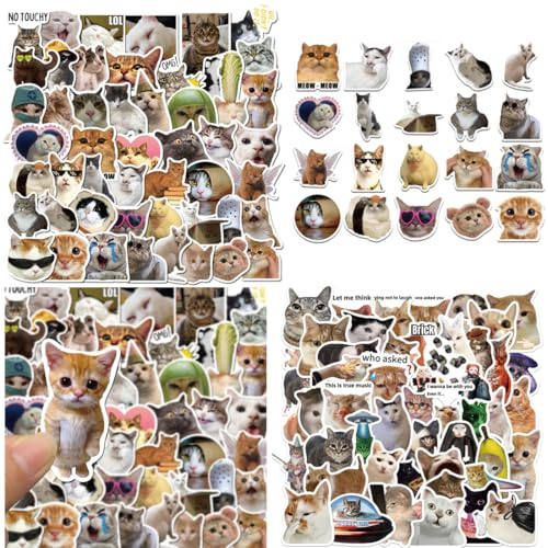 UIEXAY Lot De 100 Autocollants Meme Amusants Pour Voiture, Ordinateur Portable, Skateboard, Vélo, Cyclomoteur, Moto, Vélo, Ordinateur, Convient Aux Adultes
