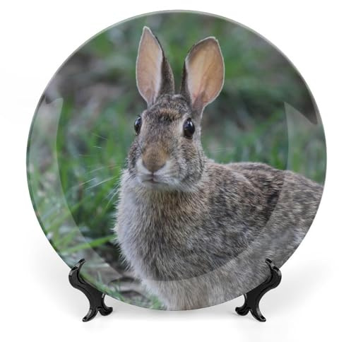 Rabbit Eyes Animal Decorative Plate for Wall Ceramic Home Wobble-Plate with Display Stand Table Decor Ornament Dinner Plate Dessert Dish Holiday Christmas Decoration 10