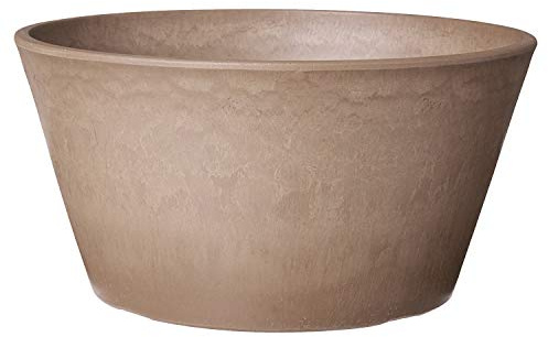 Arcadia PSW Pot TD25TP Collection Pot de Fleurs Peu Profond pour Plantes Grasses, bonsaï, Jardins féériques, Herbes aromatiques, 25,4 cm, Taupe, Plastique et Bois de Pierre
