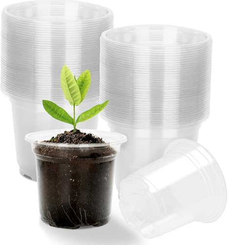 KINGLAKE Pots de Fleurs en Plastique, Pot pour Semis 10cm, 36 Pcs Godet de Culture Rempotage, Godet Repiquage Plantation Transparent, pour Semis, Orchidées, Graines
