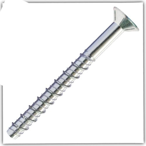 Bricoloco.com Tornillo cabeza avellanada para hormigón sin taco inserción directa a material. Fijaciones pesadas y duraderas. Resistente al fuego (10, 10x160 mm)