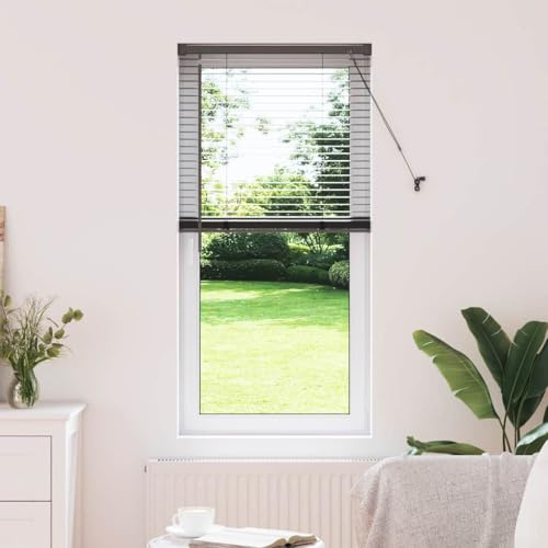 Clamping Roller Blinds for Windows, Interior Blinds, Window Blinds with Curtains, Black, Aluminium, for Living Room, Office, Bedroom, Dining Room, Kitchen
