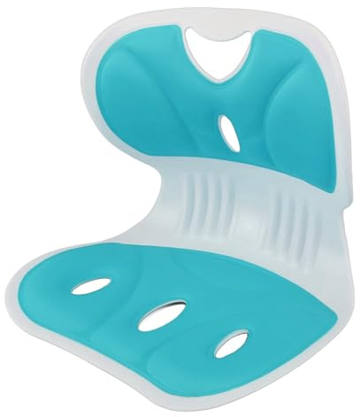 Depisuta Cuscino di Supporto Lombare,Supporto Ergonomico per la Schiena e Lombare per una BuonaCorrezione della Postura e Sollievo Dal Mal di Schiena, Cuscini di Seduta per Sedie da