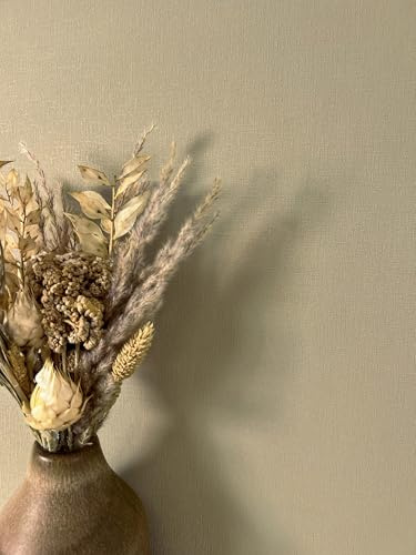 NEWROOM carta da parati Taupe Monocolore Tessuto non Tessuto - Uni Grigio Marrone Ottica del Tessuto Ottica Tessile Moderna