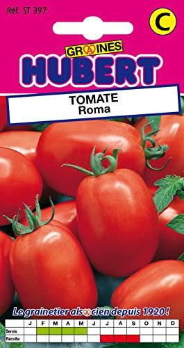 Graines de Tomate Roma - 0,5 grammes