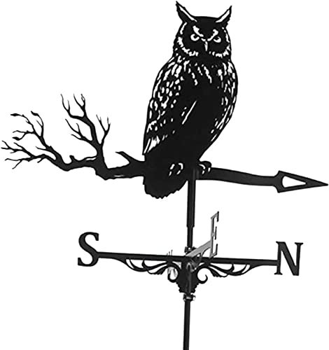 Scena all'aperto della banderuola del montaggio del tetto della banderuola della forma del gallo(Owl)