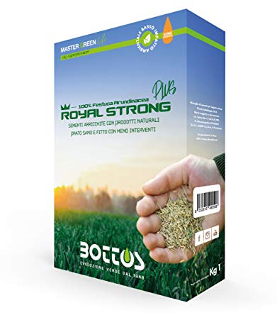 Semi per Prato Royal Strong Plus 1 Kg Sementi Conciate 100% Festuca Arundinacea Tappeto Erboso