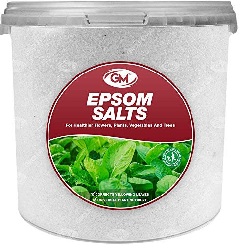 GroundMaster Epsom Salts Fertiliser Premium Nutritious Plant Growth In Tubs (1L Tub)