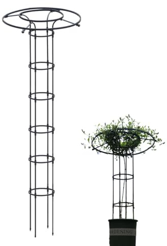 Supporto da giardino in metallo, resistente alle intemperie, per piante rampicanti, fiori, rose e pomodori, robusto supporto per piante obelisco per giardino, esterni e aiuole, dimensioni a scelta