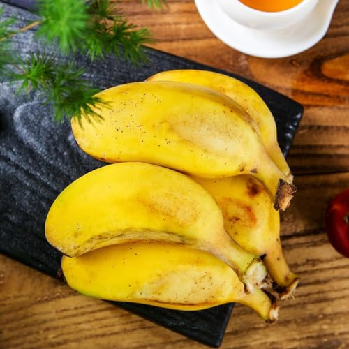 semillas de plátano resistentes Árbol de plátano jardineros jardín rocas, resistentes 180pcs