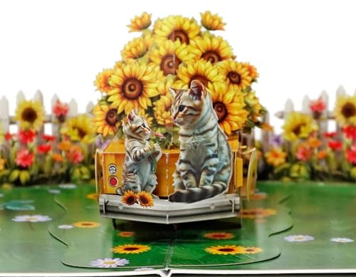 CUTPOPUP Cats w Sunflowers Truck Birthday Cards for Women, 3D Flowers Card for Wife Her Girl Sister Mum Valentines Day Card Happy Mothers Day Cards Pop Up SD229US