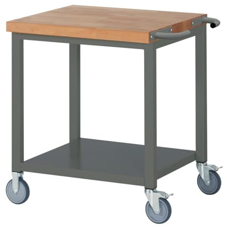 Etabli mobile STIER Premium avec plateau de rangement, lxPxH 750x700x880 mm