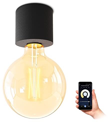 SSC-LUXon NAMBI Aufbau Deckenleuchte inkl. Smart Home WiFi E27 LED Vintage Globe - Aufbauleuchte schwarz kompatibel mit Alexa, Siri & Google