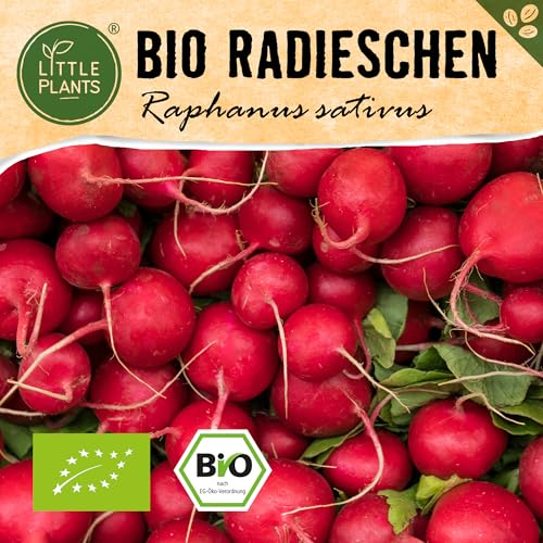 Little Plants BIO Radieschen Samen, 250 Radieschensamen, hohe Keimrate, 100% Natürlich, BIO Samen Radieschen Cherry Belle für Gemüsegarten, Gemüsebeet, Hochbeet – Gemüsesamen Saatgut Nachhaltig