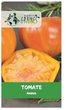 20 Graines de Tomate Ancienne Ananas Bigarrée Chair de Bœuf Sucrée & Parfumée Idéale Salade